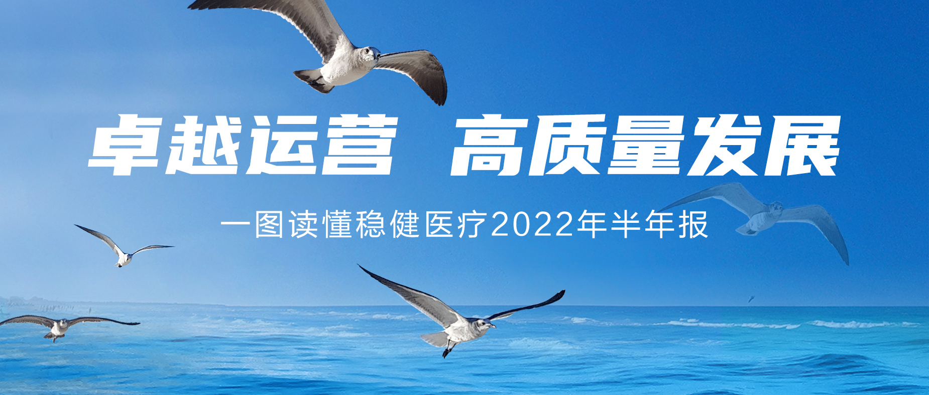 一图读懂U乐国际·集团医疗2022年半年报