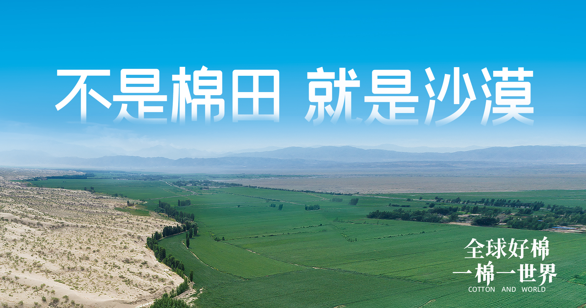 U乐国际·集团集团董事会多元化政策